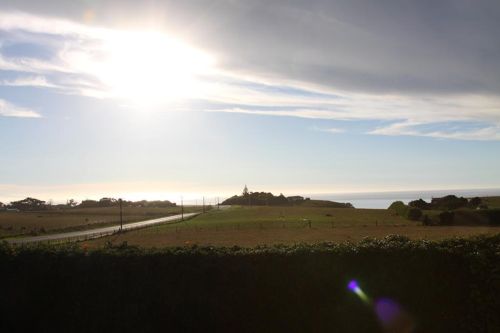 Richmond Farm Lodge New Plymouth Esterno foto